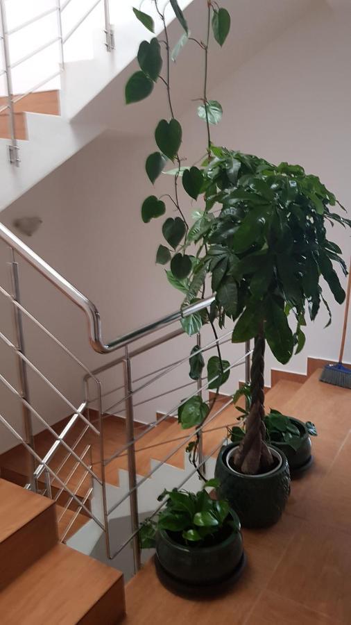 Dativo House Năvodari Εξωτερικό φωτογραφία