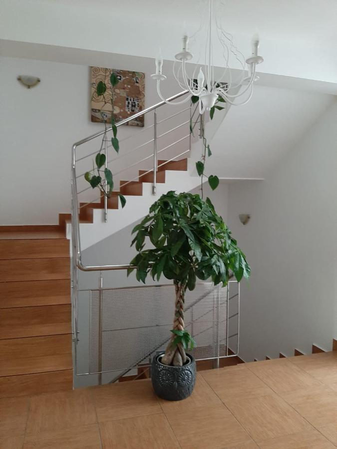 Dativo House Năvodari Εξωτερικό φωτογραφία