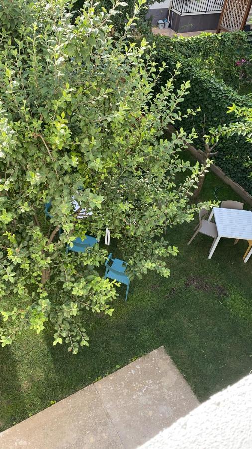 Dativo House Năvodari Εξωτερικό φωτογραφία